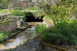 Außergewöhnliches Wohnhaus in ehemaliger Mühle mit Pool, großem Garten und Bachlauf – provisionsfrei – Die vollständige Adresse der Immobilie erhältst du vom Anbieter., 67229 Großkarlbach – Vorschaubild 19