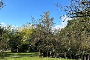 Herrschaftliche Villa auf großzügigem Grundstück mit eigenem Teich sowie Hallen und landw. Flächen – Die vollständige Adresse der Immobilie erhältst du vom Anbieter., 94501 Aldersbach – Vorschaubild 11