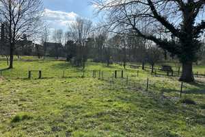 Modernes 5-Zimmer Haus mit Garten in grüner und ruhiger Idylle nahe Kaiserswerth – Düsseldorf – Vorschaubild 16