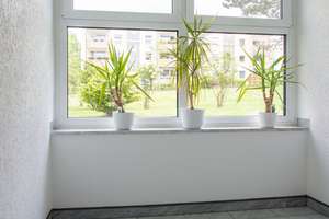 Kapitalanlage: sanierte 71 m² im Hochparterre mit Balkon und PKW-Stellplatz - VERMIETET – Die vollständige Adresse der Immobilie erhältst du vom Anbieter., 44869 Höntrop, Bochum – Vorschaubild 13