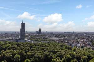 Gepflegter Wohnraum in Kölner Skyline mit Aussicht ab sofort – Die vollständige Adresse der Immobilie erhältst du vom Anbieter., 50823 Neuehrenfeld, Köln – Vorschaubild 10
