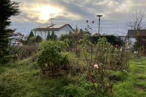 *** Bezugsfreie, tolle 2-Zi.-EG-Wohnung mit großem Garten - ruhig, sonnig, prov.-frei *** – 6128 Böllberg/Wörmlitz, Halle (Saale) – Vorschaubild 16
