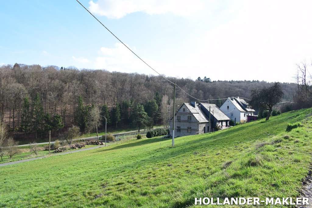 Immobilie in Rhaunen - Freiheit Rhaunen, Hunsrück – Modernisiertes Mehrfamilienhaus mit großem Grundstück und Potenzial - Bild 3