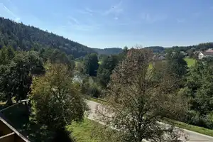 Attraktives Mehrfamilienhaus im malerischem Rieden – ideal für große Familien und Investoren – Amberg-Sulzbach (Kreis) – Vorschaubild 6