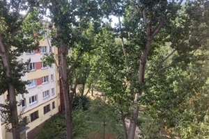 Ihr neues Zuhause: günstige 2-Zimmer-Wohnung – Blumberger Damm 207, 12687 Marzahn, Berlin – Vorschaubild 3