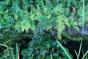 Property thumbnail 26