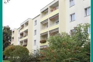 Wohnen am Großen Garten - die Natur vor der Tür!