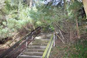 ***Grünes Wohnidyll – Wochenendgrundstück mit viel Raum und Natur pur und Sauna*** – An der Wutsche 1, 7334 Saalfeld-Rudolstadt (Kreis) – Vorschaubild 4