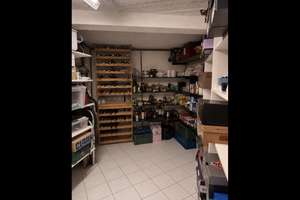 Perle in Essen-Haarzopf – 45149 Haarzopf, Essen – Vorschaubild 26