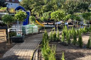 Property thumbnail 12