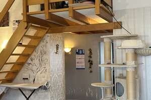 Property thumbnail 10