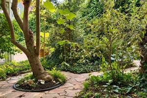 Privates Refugium mit Galerie, Kamin und eingewachsenem Garten – 60435 Preungesheim, Frankfurt am Main – Vorschaubild 13