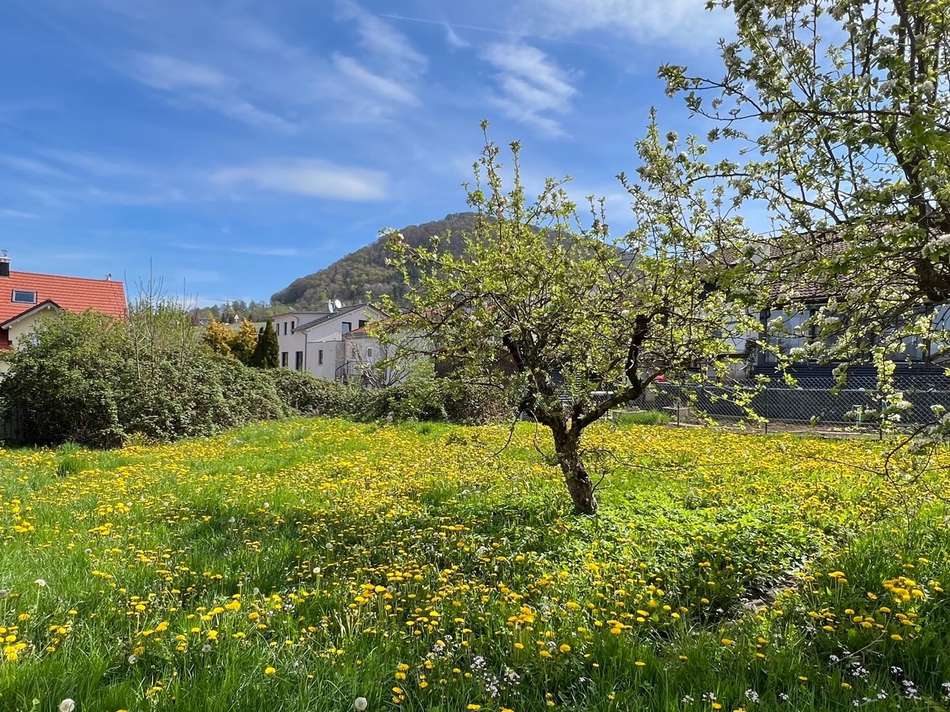 Hier entsteht Ihr neues Heim