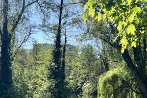 Die Lage macht´s ...
Vermietete Wohnung am idyllischen Praterweiher ... 