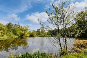 Das Haus am See... Ebenerdig wohnen mit traumhaftem Seeblick – Rotenburg (Wümme) (Kreis) – Vorschaubild 3