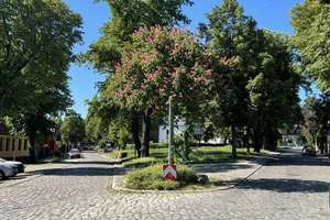 Villa in Berlin Kaulsdorf, energetisch saniert auf Park ähnlich gestaltetes großes Grundstück – Die vollständige Adresse der Immobilie erhältst du vom Anbieter., 12621 Kaulsdorf, Berlin – Vorschaubild 15
