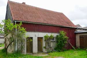 Charmantes Einfamilienhaus mit großem Grundstück und viel Potenzial – Die vollständige Adresse der Immobilie erhältst du vom Anbieter., 14550 Groß Kreutz (Havel) – Vorschaubild 8