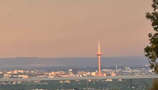 Bild von Energieeffiziente Villa im Bauhaus-Stil, 6 Garagenstellplätzen, Pool, Aufzug