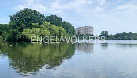 Bild von TOPLAGE DIREKT AM GROßEN SCHILLERTEICH