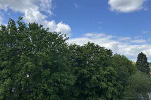 Traumhafte Altbau Dachgeschoß Wohnung zum Verlieben – Schlangenwallstraße 28, 45899 Horst, Gelsenkirchen – Vorschaubild 5