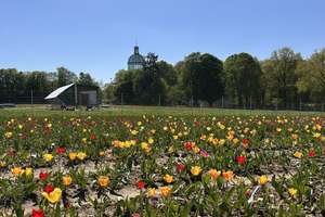 Wiesen.  Wälder.  Weitsicht.    Dreizimmer-Eigentumswohnung mit großer Südloggia und Garage – Abteiweg 70, 42653 Gräfrath, Solingen – Vorschaubild 16