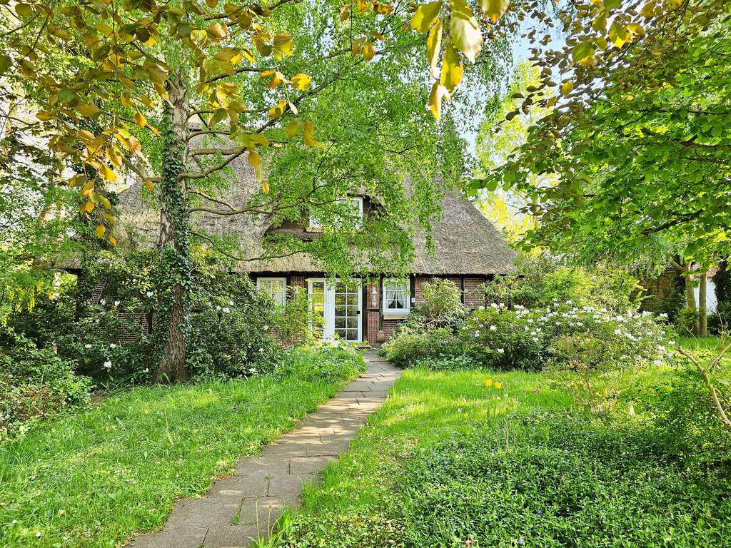Immobilie in Seedorf - Natur, Charme & Weitblick - Reetdachhaus am Feldrand - Bild 1