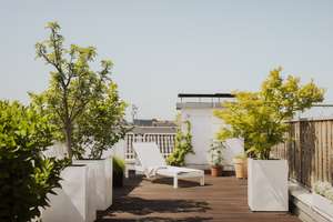 Anspruchsvoll renovierte Dachgeschoss-Maisonette mit großer Dachterrasse – Am Zuckerberg 1, 50668 Neustadt/Nord, Köln – Vorschaubild 5