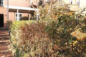 Property thumbnail 16