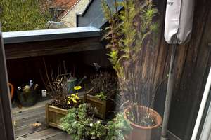 Property thumbnail 10