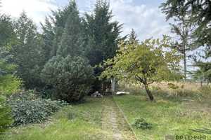 EFH mit großem Garten und Wiese am Ortsrand von Hindenburg! – Stendal (Kreis) – Vorschaubild 8