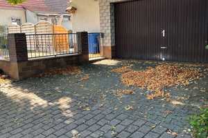 DHH mit viel Potenzial und Baugrundstück – Bad Dürkheim (Kreis) – Vorschaubild 7