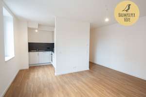 Moderne 2-Zimmer-Wohnung mit Platz zum Entfalten! – Baumpieperweg 3, 21149 Neugraben-Fischbek, Hamburg – Vorschaubild 4