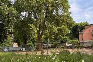 Property thumbnail 6