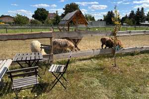 Wohnen mit Weitblick – ein Refugium im Grünen von Dessau-Roßlau – Die vollständige Adresse der Immobilie erhältst du vom Anbieter., 6844 Waldersee, Dessau-Roßlau – Vorschaubild 12