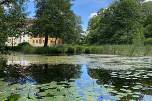 Idyllisch gelegenes Einfamilienhaus als Wohn- oder Ferienhaus – Dahme-Spreewald (Kreis) – Vorschaubild 17