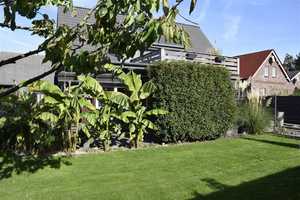 Einfach schön! Geschmackvoll saniertes Wohnhaus in ruhiger Lage von Wanna. – Herrmann-Hinrichs-Str. 3, 21776 Cuxhaven (Kreis) – Vorschaubild 4