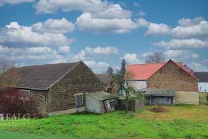 Ein Paradies für Pferdeliebhaber – Historischer Vierseitenhof, Weideland & Scheunen in Feldrandlage – Die vollständige Adresse der Immobilie erhältst du vom Anbieter., 14913 Niedergörsdorf – Vorschaubild 21