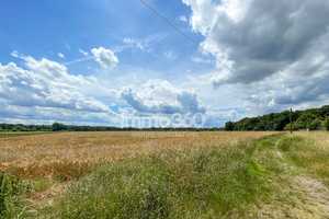 Bezugsfreies Einfamilienhaus mit Terrasse und Garten – Potsdam-Mittelmark (Kreis) – Vorschaubild 6