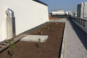 3 Zi Hafencity mit Balkon, TG-St.Platz, EBK, FBH, super Dachterrasse zur allg. Nutzung – Am Grasbrookpark 1, 20457 HafenCity, Hamburg – Vorschaubild 19