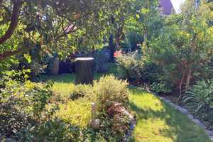 Im Sommer im eigenen Garten – Weimar – Vorschaubild 5