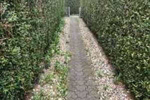 Klassisches Mehrfamilienhaus mit eigenem Garten für jede Wohnung – Akazienstrasse 51, 46049 Alstaden-Ost, Oberhausen – Vorschaubild 10