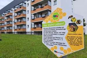 WBS - 3-Raum im Stadtteil Sudenburg - für kreative Mieter