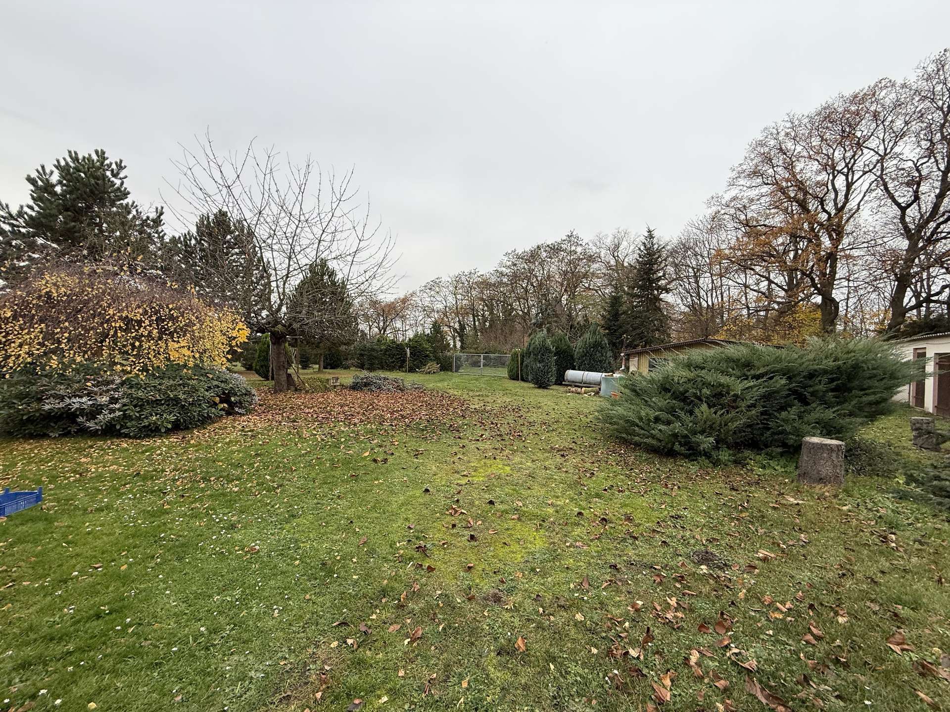 Einfamilienhaus mit Nebengelass auf großem Grundstück nahe Spreewald, Dahme Spreewald Kreis – Bild 4
