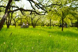 Property thumbnail 36