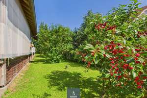 WOHNEN UND ARBEITEN - großes Einfamilienhaus mit Garten, Doppelgarage und Hof + Sauna – Die vollständige Adresse der Immobilie erhältst du vom Anbieter., 74635 Kupferzell – Vorschaubild 4
