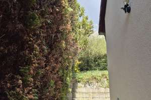 Gemütliches Reihenendhaus am Waldrand gelegen - mit Balkon, Terrasse, Garten und  2 Garagen – Die vollständige Adresse der Immobilie erhältst du vom Anbieter., 65520 Bad Camberg – Vorschaubild 3
