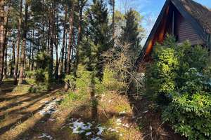 Kleines Nurdachhaus in idyllischer Waldlage bei Jelmstorf! – Die vollständige Adresse der Immobilie erhältst du vom Anbieter., 29585 Jelmstorf – Vorschaubild 5