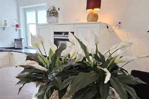 Hochwertig u. umfassend modernisiert! Ehemaliges  Weingut mit Charme! – Cochem-Zell (Kreis) – Vorschaubild 16