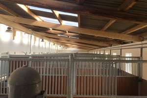 Reitanlage auf 11,5 ha zu verkaufen – Die vollständige Adresse der Immobilie erhältst du vom Anbieter., 51399 Burscheid – Vorschaubild 6