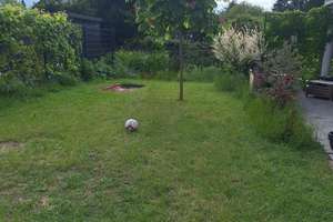 Modernes Wohnen mit Garten im Erdgeschoss